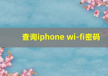 查询iphone wi-fi密码